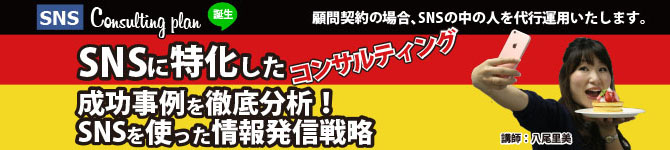 SNSコンサルティングプランとPR支援